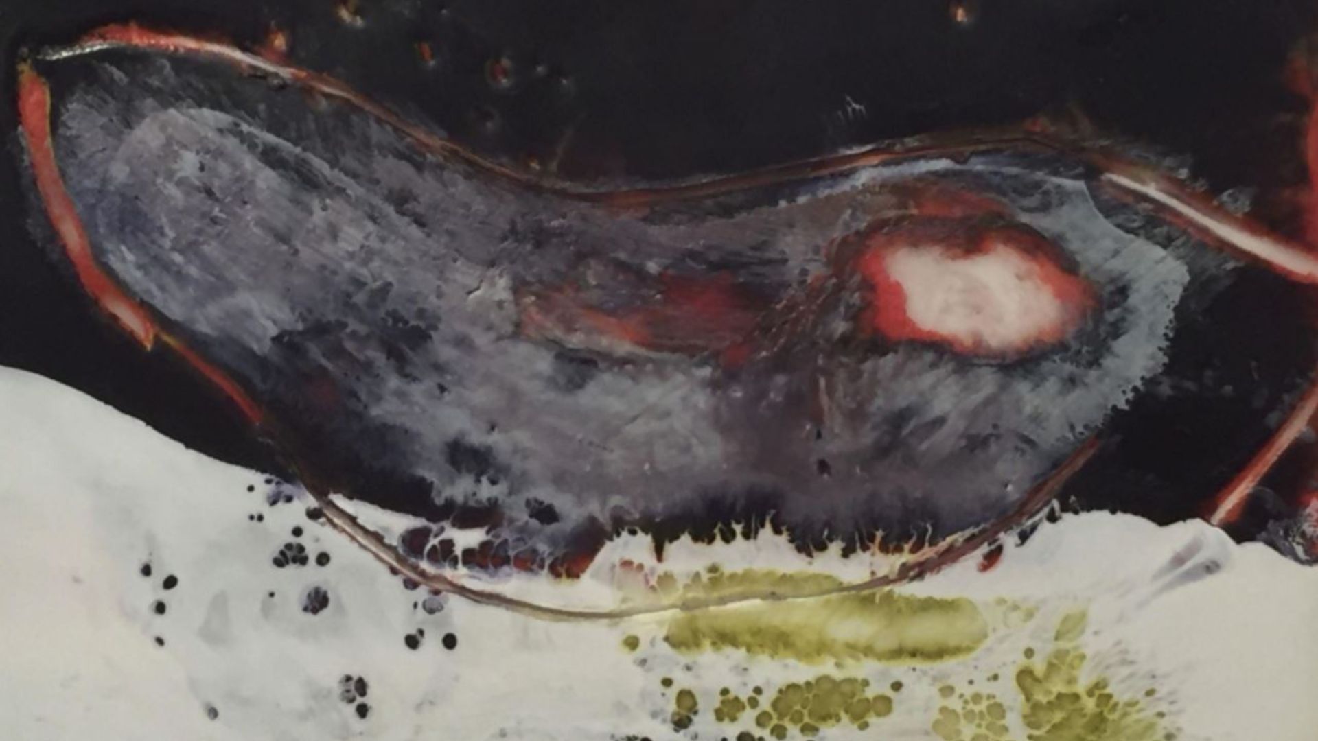 2024 exhibition line up sunbury shores (6)