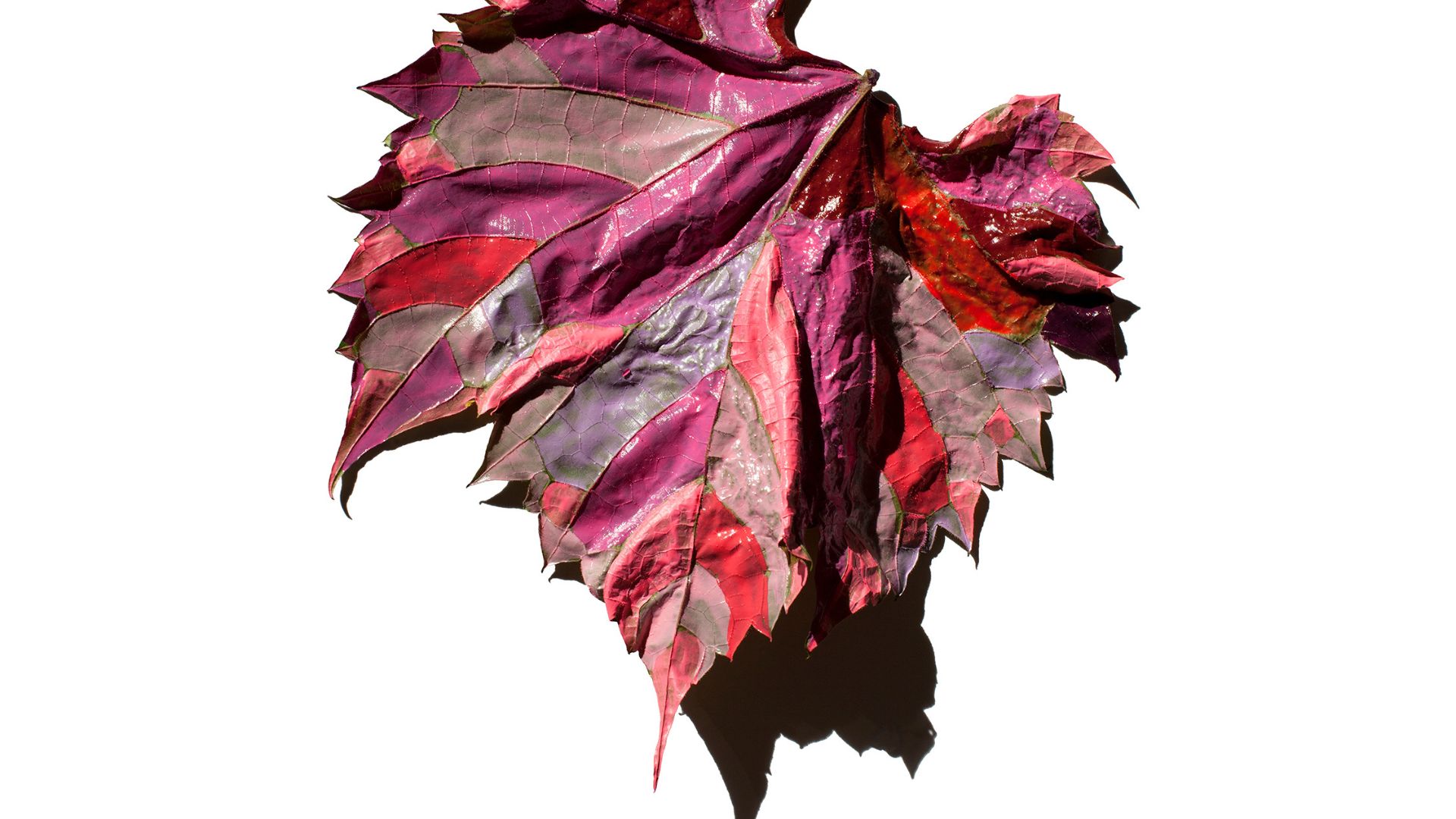 2024 exhibition line up sunbury shores (9)